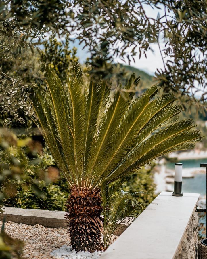 Villa Amore Brela Buitenkant foto